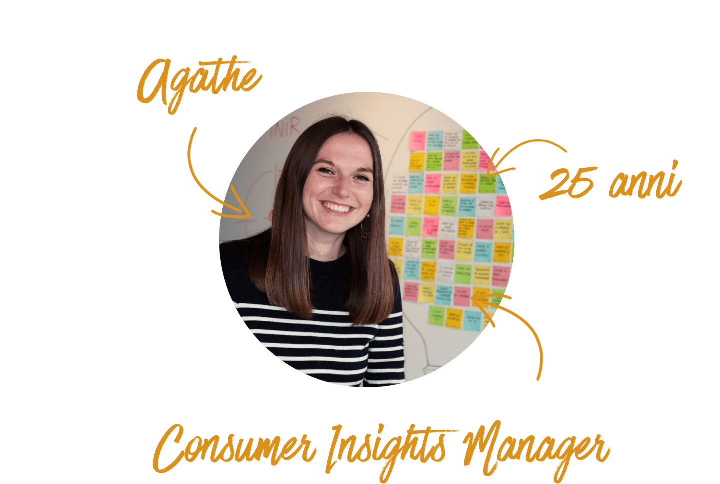Consumer-Insights-Manager-IT